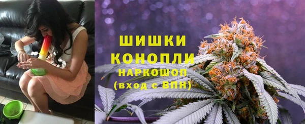 дмт Абаза