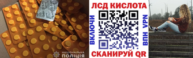 дарнет шоп  Грозный  Лсд 25 экстази кислота 