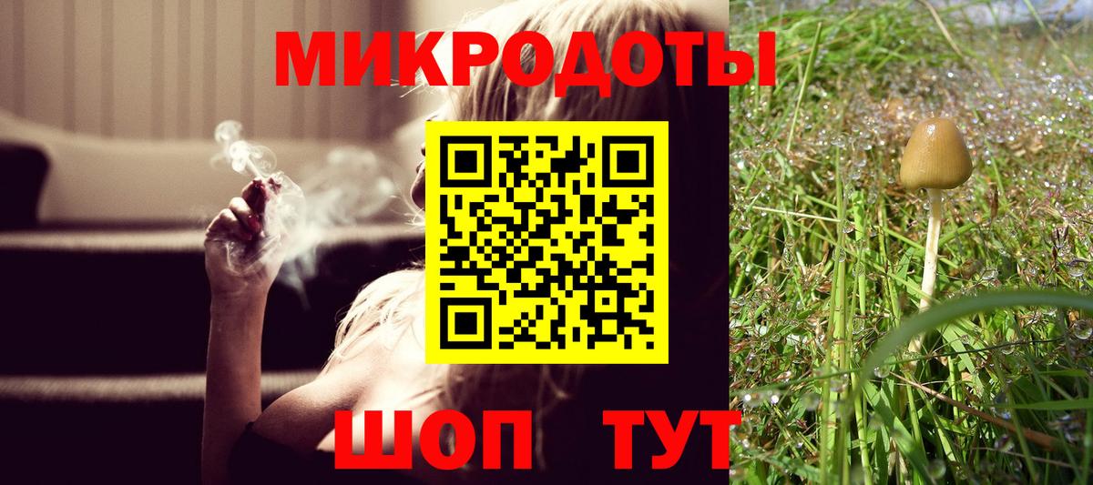 Грозный  Псилоцибиновые грибы мицелий  даркнет сайт  Вход с VPN 