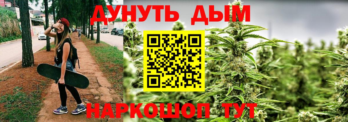 Грозный  Бошки марихуана семена  Вход с VPN  Каннабис сатива 